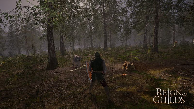 Reign of Guilds Klucz CD KEY KOD BEZ VPN WYSYŁKA 24/7 zdjęcie 5