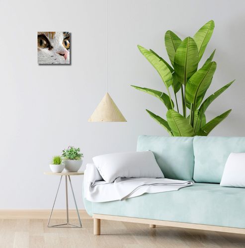 Obraz 20x20cm Nitkowany Kot na Arena.pl