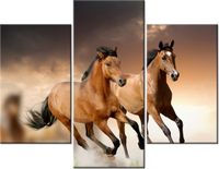 product-compare-58702198