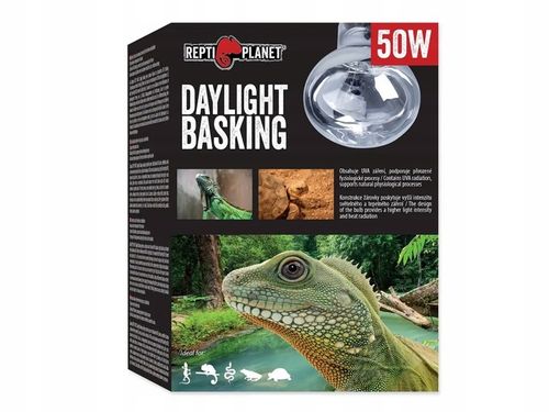 Żarówka grzewcza dzienna Daylight Spot 50W do terrarium Repti Planet na Arena.pl