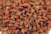 Rokitnik Owoc suszony 1kg Naturalne Witaminy