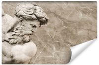 Fototapeta Do Biura Rzeźba NEPTUN Abstrakcja 450cm x 300cm