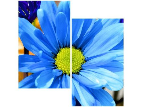 60X60CM INTENSYWNE KOLORY JAMIE MCCAFFREY DWU OBRAZ ŚCIAN na Arena.pl