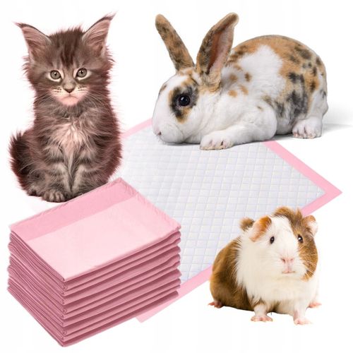 PODKŁADY HIGIENICZNE MATY DLA PSA PSOW NAUKA SIKANIA CHLONNE 60x40 cm 100sz na Arena.pl