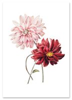 Plakat różowe kwiaty vintage 70x100 cm