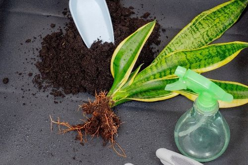 Mata Duża do Przesadzania Roślin Gardenowo XL 94x94cm na Arena.pl