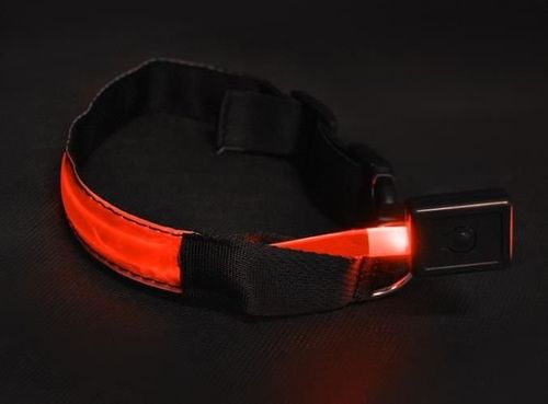 Obroża LED czerwona - S na Arena.pl