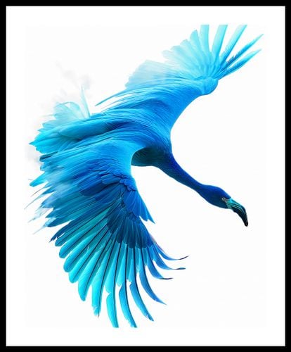 Plakat 40x50cm Błękitny Lot na Arena.pl