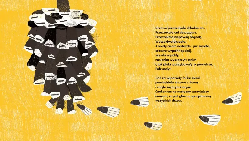 Sto nasionek, które pofrunęły zdjęcie 4