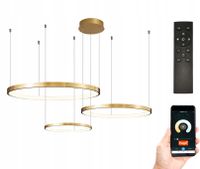 Lampa Silva EX IV 40/60/80 pilot okręgi ring żyrandol LED Tuya Wobako