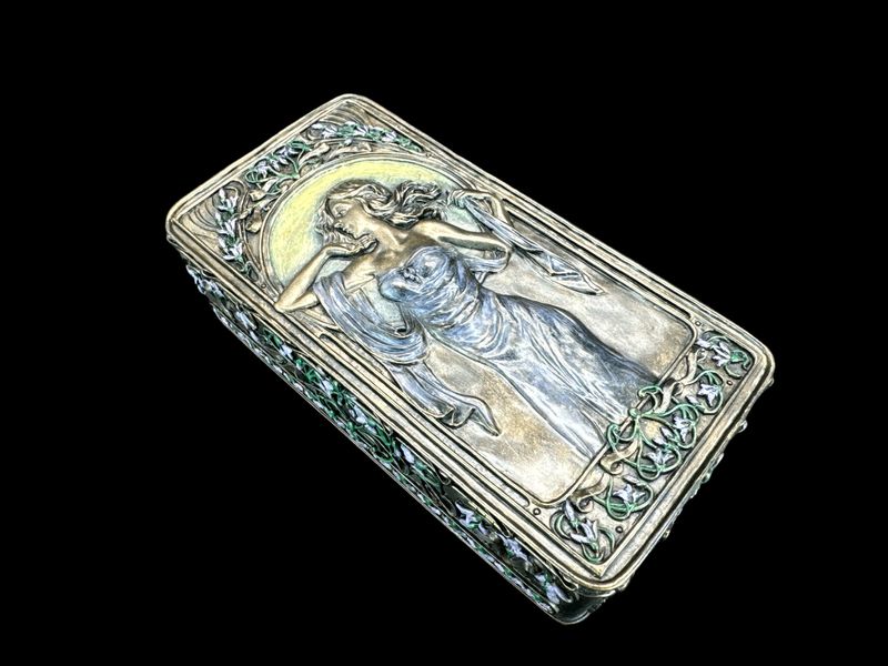 SZKATUŁKA VIKTORIA VERONESE (AN10247AA) zdjęcie 5
