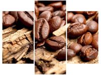 OBRAZ ZIARNISTA KAWA BARISTY