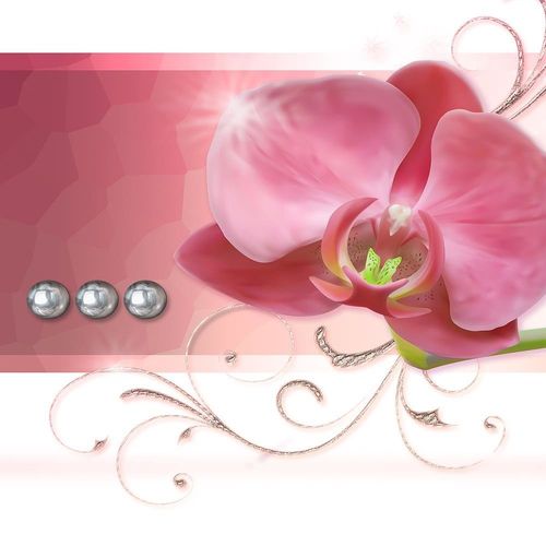 Deco Panel, Storczyki abstrakcja 60x40 na Arena.pl