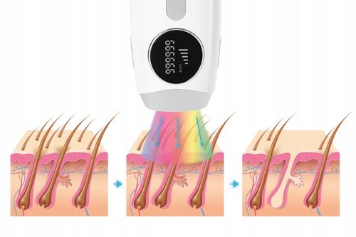 Depilator IPL Krexus Ciało Bikini PRO 5 trybów na Arena.pl