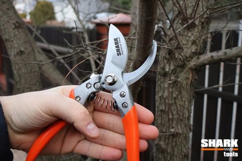 SEKATOR DO GAŁĘZI RĘCZNY NOŻYCOWY Shark G1 ogrodowy do cięcia 22 cm na Arena.pl