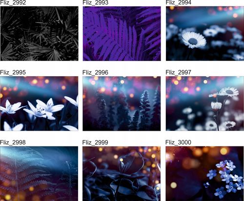 FOTOTAPETY Marmur Złote Liście Monstera Paproci na Arena.pl