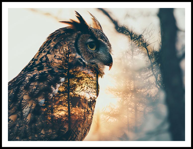 Plakat 100x75cm Sowi Duch zdjęcie 3