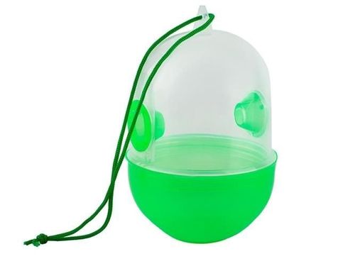 Pułapka na owady na Arena.pl