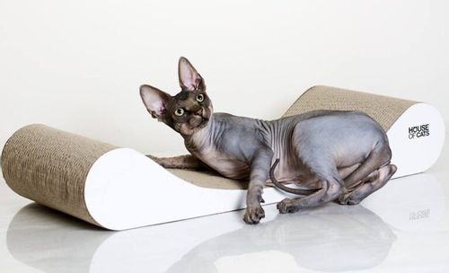 Drapak dla kotów Sofa Drapak dla kota Sofa White na Arena.pl