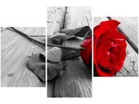 OBRAZ RED ROSE