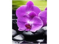 40X50CM KAMIENIE STORCZYKI OBRAZ