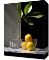 Obraz 30x40cm Cytrusowa Aranżacja