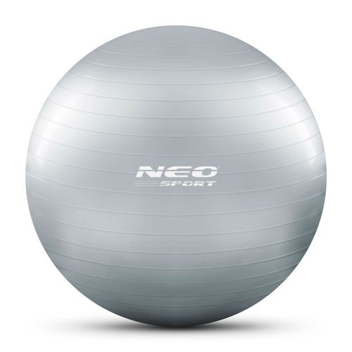 Piłka do ćwiczeń 75 cm NS-952 srebrna na Arena.pl