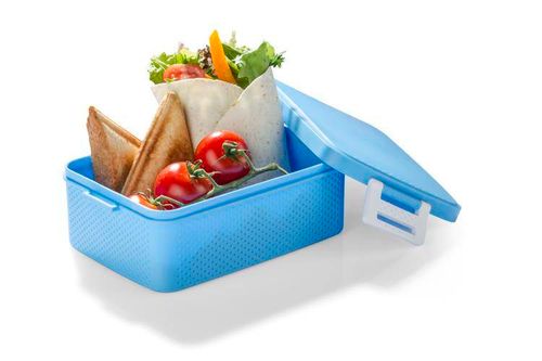 Pojemnik 900 ml UPOMINKARNIA PANINI Niebieski na Arena.pl