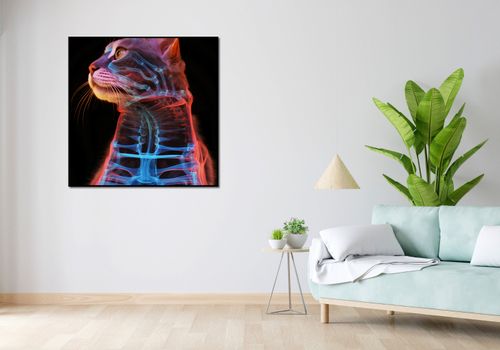 Plakat 100x100cm Anatomia Kota na Arena.pl