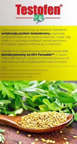 Booster Testosteronu, Libido - ecdysteroidy ECDYSTERON TESTOSTERON TABLETKI na Arena.pl