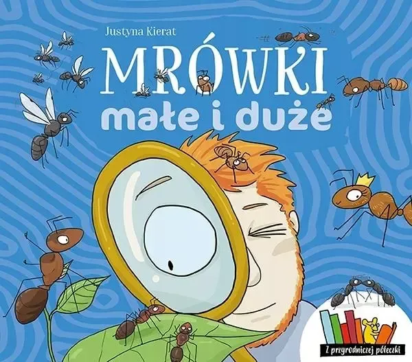 Mrówki małe i duże zdjęcie 1