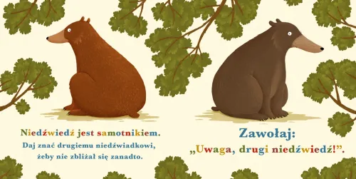 Rok W Lesie. Niedźwiedź na Arena.pl