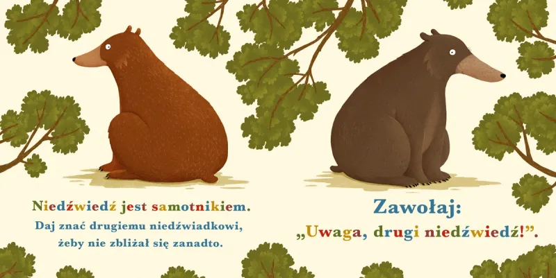 Rok W Lesie. Niedźwiedź zdjęcie 3