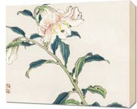 Obraz 60x50cm Lily, Kōno Bairei Japoński Vintage do Salonu