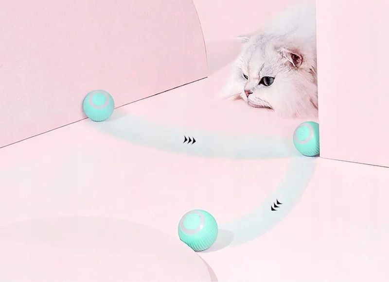 INTERAKTYWNA PIŁKA dla KOTA Psa ZABAWKA UCIEKAJĄCA 2 tryby WERSJA 2.0 zdjęcie 5