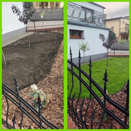 Trawa UNIWERSALNA nasiona trawy SAMOZAGĘSZCZAJĄCA odporna na DEPTANIE 25kg na Arena.pl