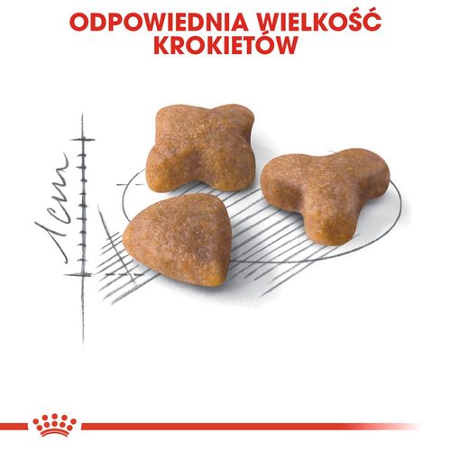 royal canin sensible 33 4kg na Arena.pl