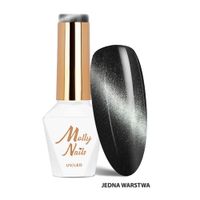 Lakier hybrydowy LED/UV Gel Polish Cat Eye Seduction Nr 240 8g