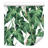 Tapeta W Rolce Do Salonu Jadalni Liście Tropikalne Natura Rośliny