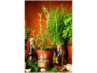 100 70CM OBRAZ PŁÓTNO PRZYPRAWY ZIOŁOWE PŁÓTNO RAMA