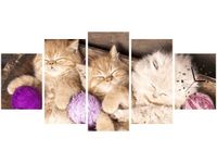 70CM 150CM ZEGAR 5 ELEM ŚPIĄCE KOTY MISCE DRUK OBRAZ