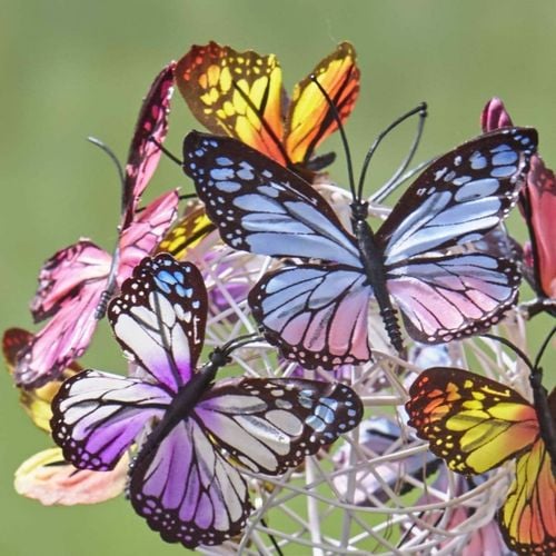 Lampki Solarne W Kształcie Motyla 2Szt. na Arena.pl