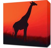 Obraz 40x40cm Żyrafa w Czerni