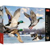 Puzzle 1000 elementów. Premium Plus Quality. Krzyżówki w locie