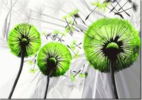 60CM 50CM OBRAZ ŚCIENNY DMUCHAWCE KOLORZE LIMONKI DRUK PŁÓTNO