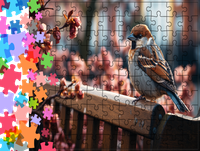 Puzzle tradycyjne Zwierzęta - Ptak