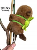 ŚPIEWA piosenkę KAPIBARA NA RĘKĘ Z ŻÓŁWIEM KRĘCĄCA OGONKIEM BRANSOLETKA