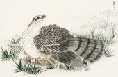 Plakat 86,4x56,8cm  Hawk-Eagle, Kashu Japoński Vintage do Salonu