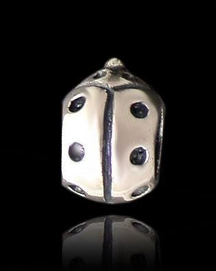 charm ,srebro 925 na Arena.pl