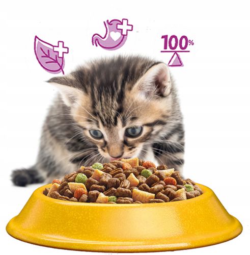 WHISKAS Sucha Kurczak 14kg na Arena.pl